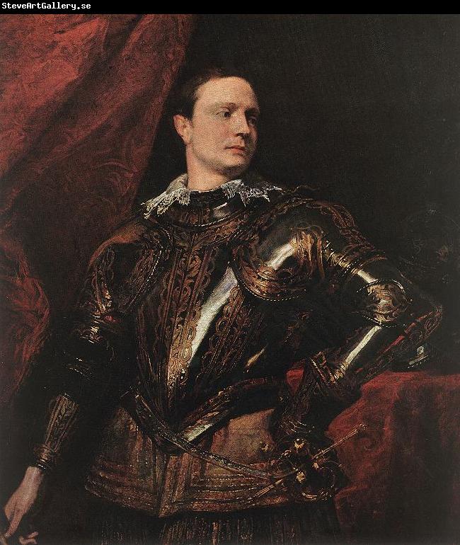 DYCK, Sir Anthony Van Portrait of a Young General dfgj